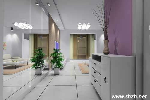 現(xiàn)代簡約家居玄關(guān)設(shè)計 玄關(guān)收納設(shè)計