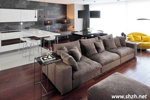 客廳中的餐廳設計方案